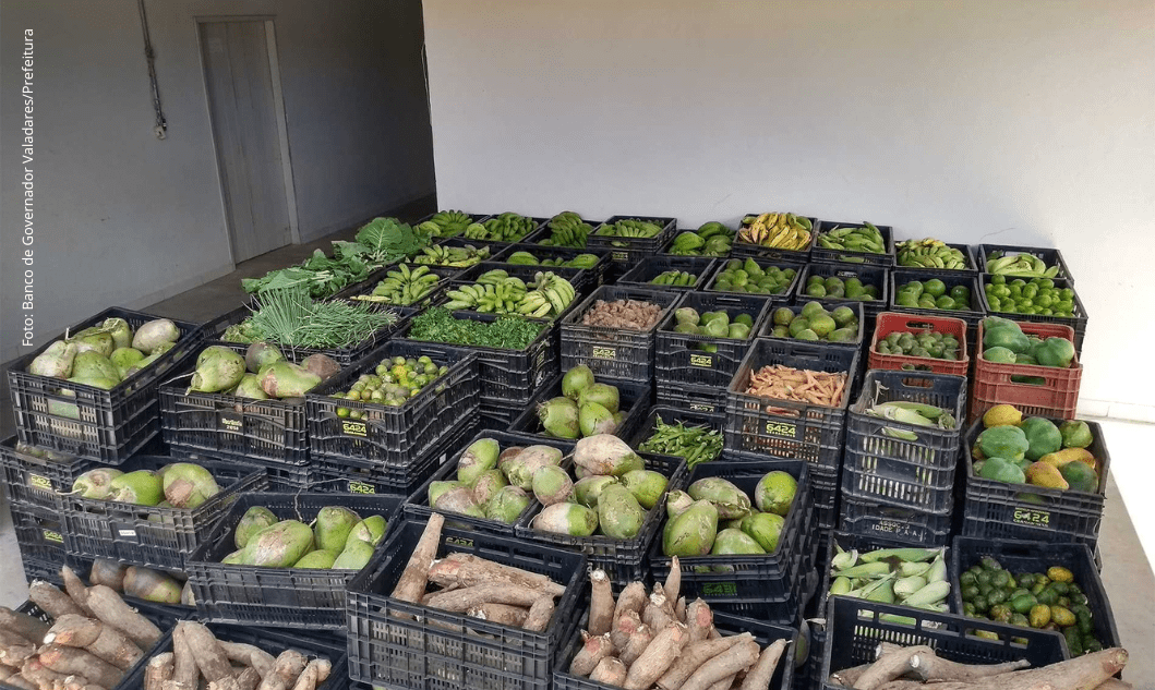 banco alimentos result edital 22