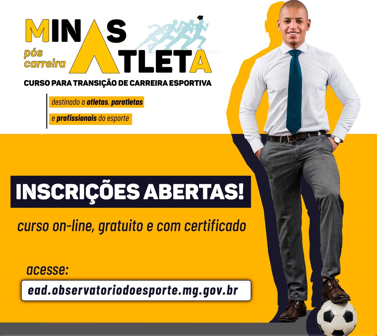 minas site